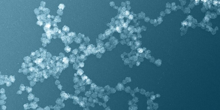 i-NanoT : Structuration de la filière nanomédecine en Bourgogne Franche-Comté